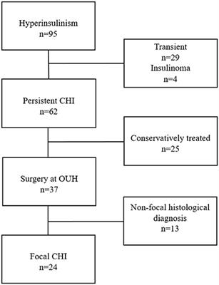 Intraoperative Ultrasound: A Tool to Support Tissue-Sparing Curative Pancreatic Resection in Focal Congenital Hyperinsulinism